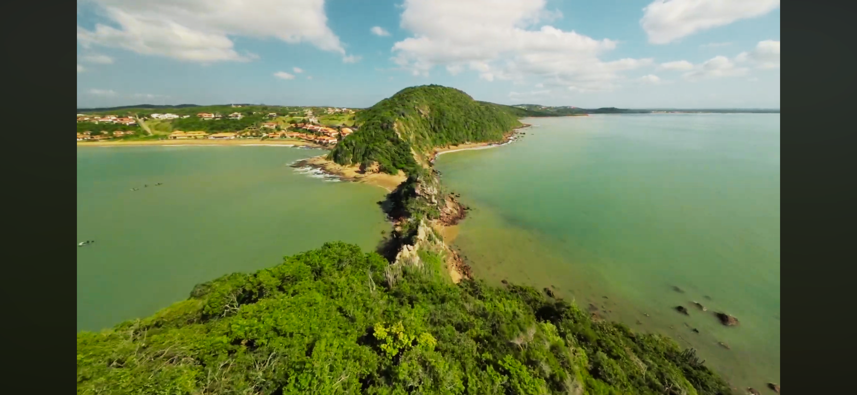 A Vida que Brota da Pedra